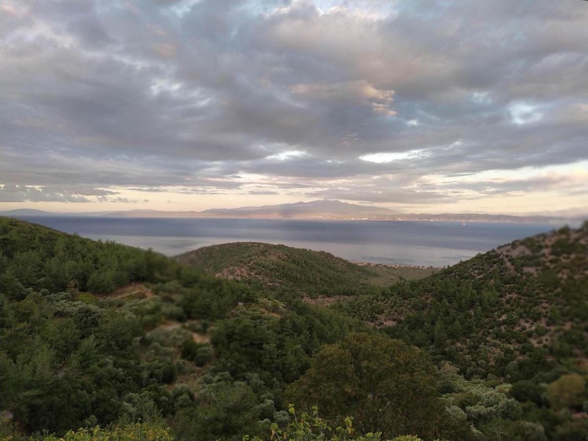 Appartamento Eden View Sotir Esterno foto