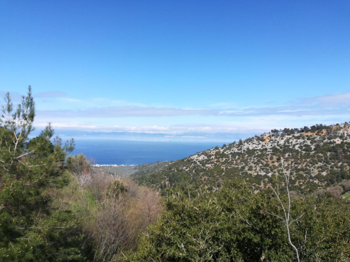 Appartamento Eden View Sotir Esterno foto