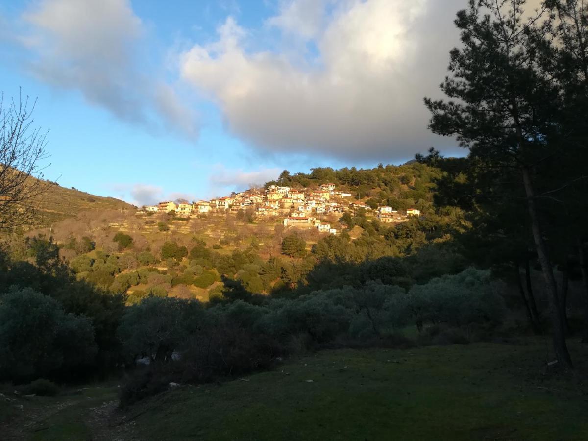 Appartamento Eden View Sotir Esterno foto
