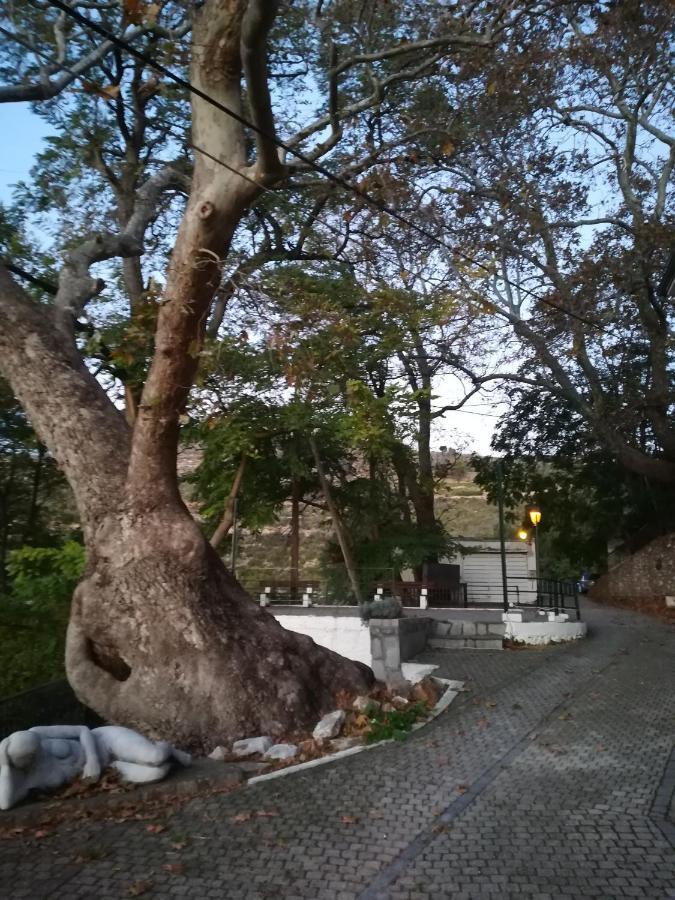 Appartamento Eden View Sotir Esterno foto